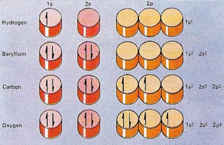 orbitals