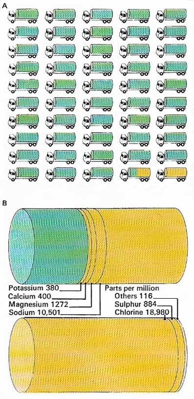 elements in seawater