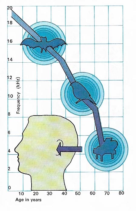 change in hearing with age