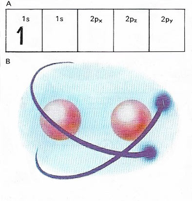 hydrogen molecule