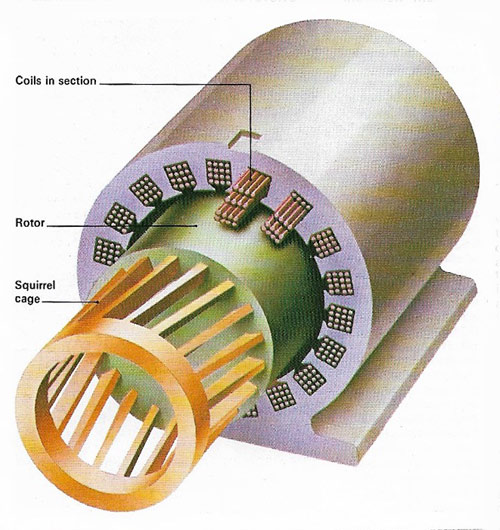 induction motor