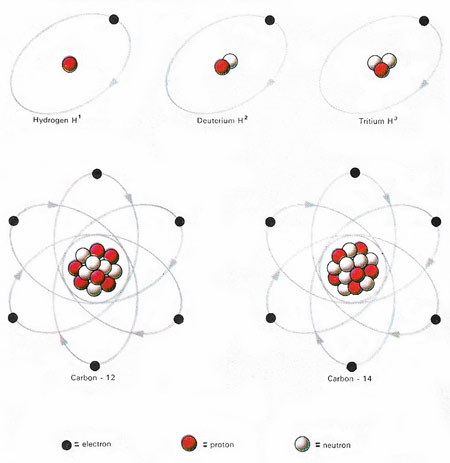 isotopes of hydrogen and carbon