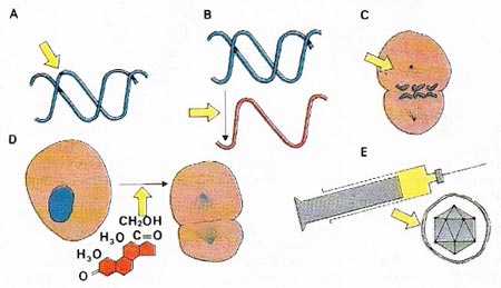 treatment for leukemia