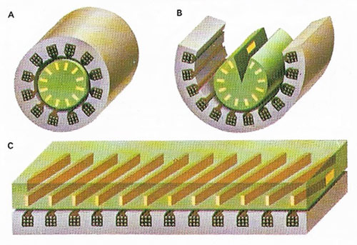 How a linear motor works