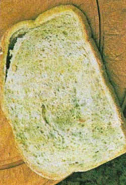 Bread mold