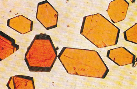 myoglobin