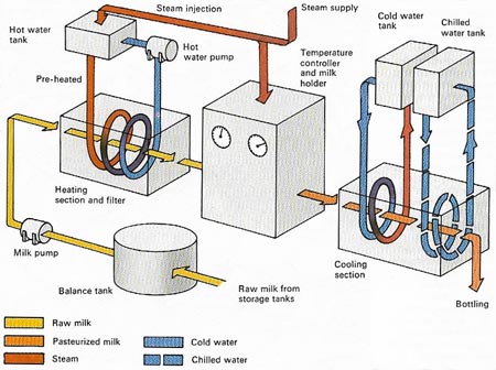 pasteurization process