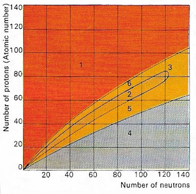 proton and neutron numbers