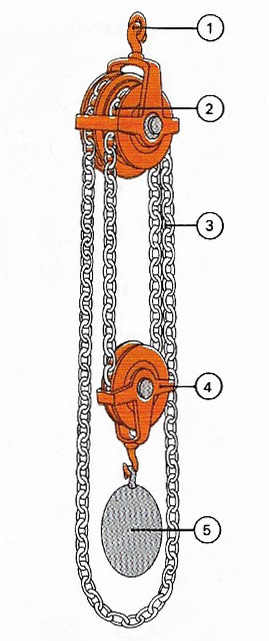 two fixed pulleys and one moveable one