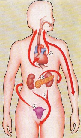 referred pain