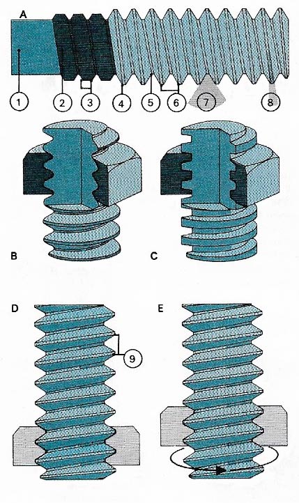 screw threads and bolts