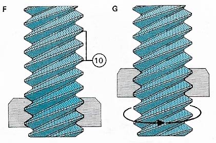 screw threads and bolts