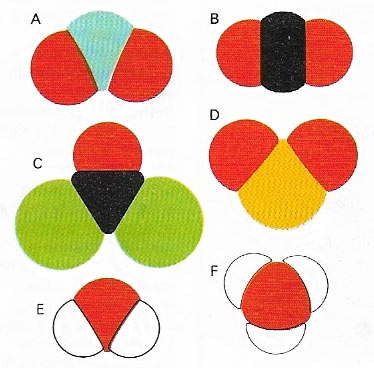 covalent compounds