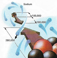 sodium chloride