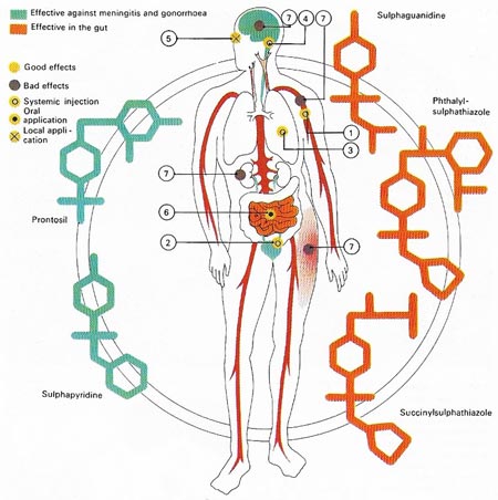 sulfonamide drugs