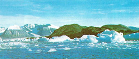Antarctic scene