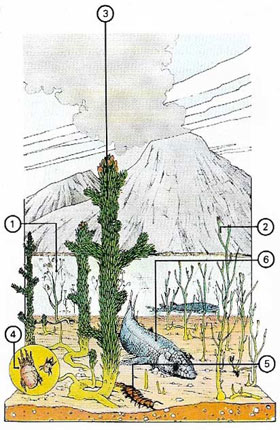 Northern Scotland had inland seas in Devonian times.