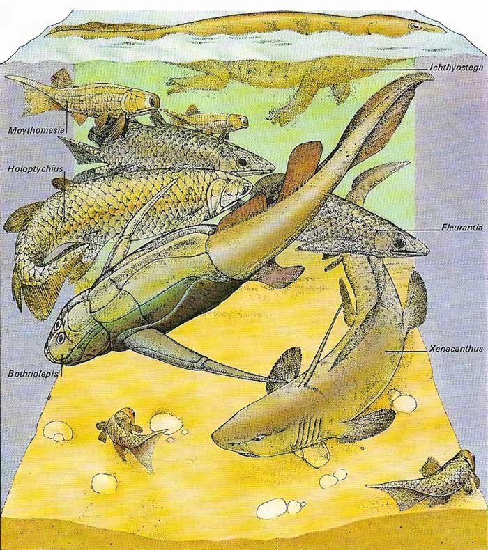 Devonian fish