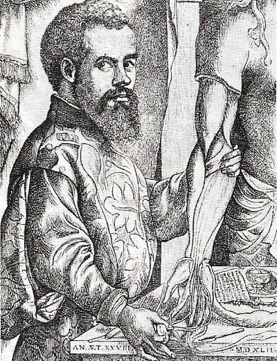 Vesalius shown holding a partly dissected human arm. The portrait is taken from his book De Humani Corporis Fabrica