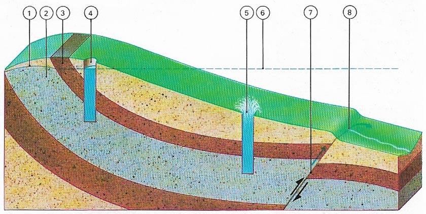 Artesian well and spring