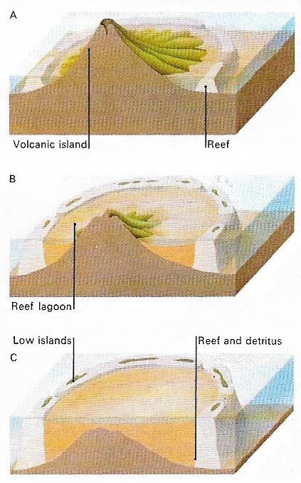 Atolls and coral reefs