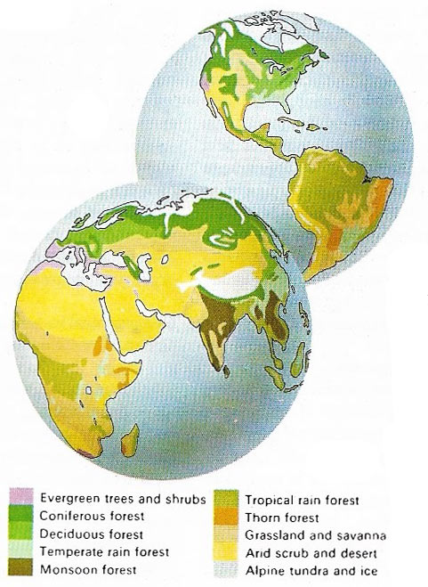Ecologists divide the Earth into regions known as biomes, each characterized by a pattern of natural vegetation or, as in the sea and in the lakes and rivers, by nature of its water. 
