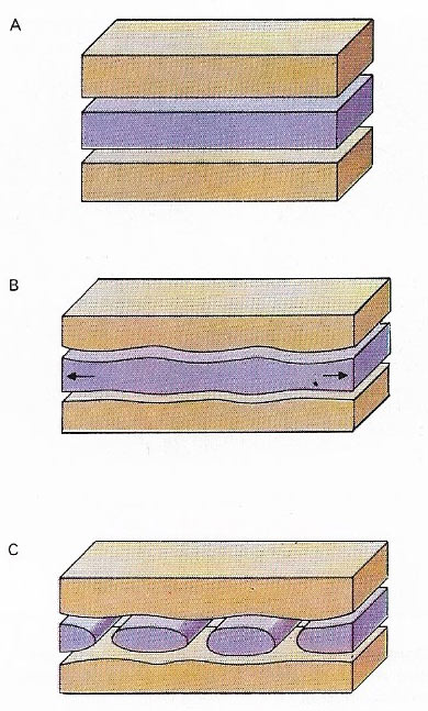 Formation of boudins