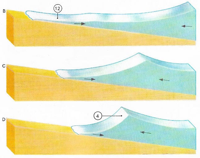 Development of breaking wave