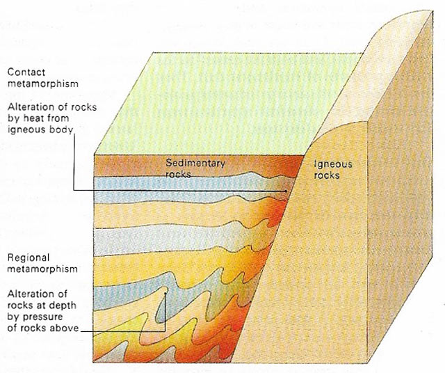 Contact and regional metamorphism