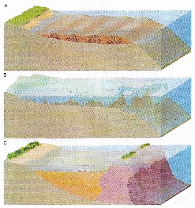 Types of continental shelf