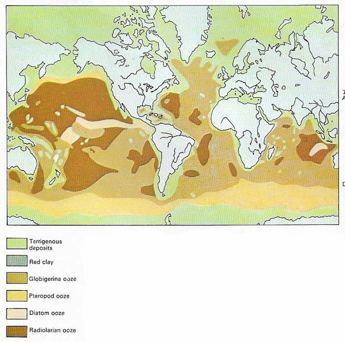 Deep-sea sediments