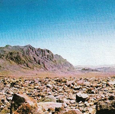 Rocky surface ina  desert
