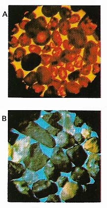 Grains of desert sand (A) are largely spherical and appear "frosted" because they have been rounded by countless collisions with other grains.