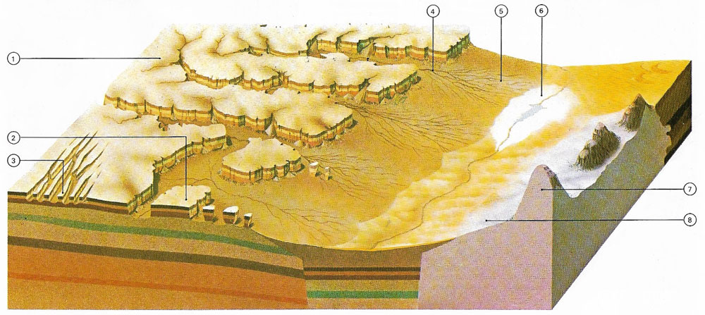 Desert topography