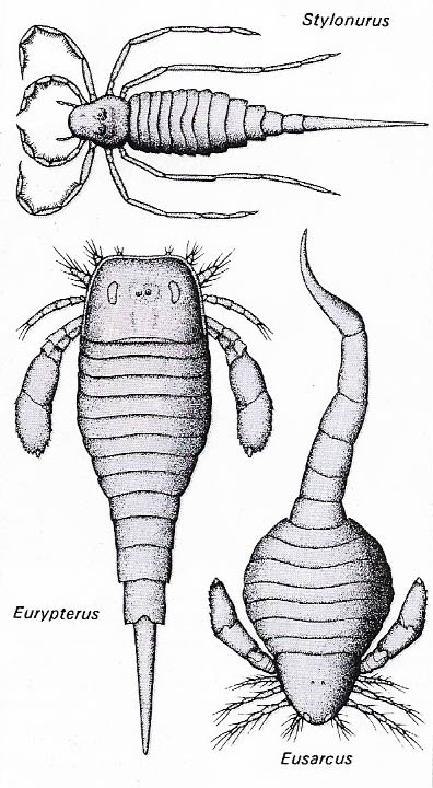 Eurypterids