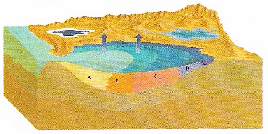 evaporites