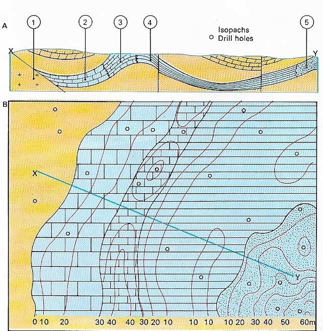 Facies map