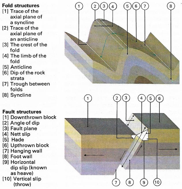 Comparison of folds and faults
