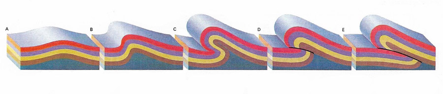 Formation of folds