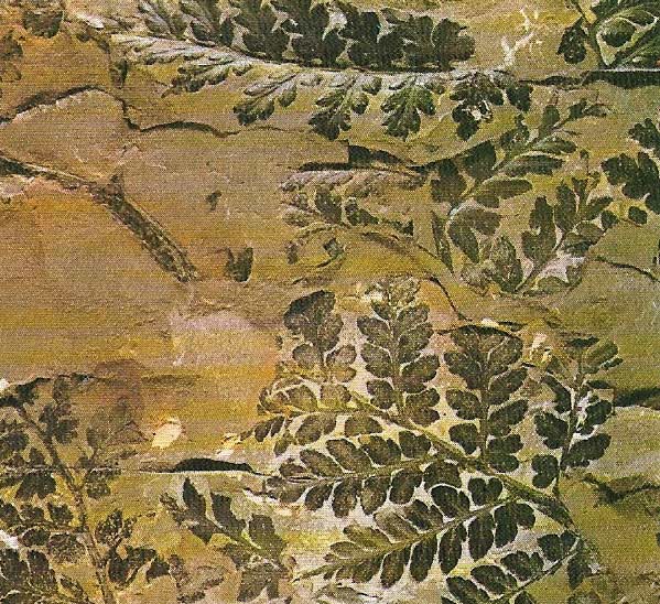 Fossilized fern