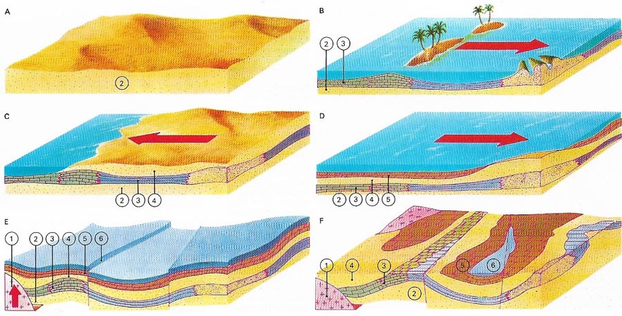 Geological history of an area