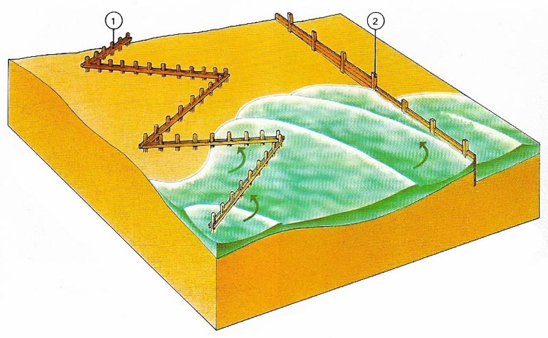 Groynes