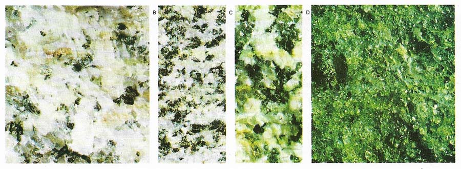 Types of intrusive rock