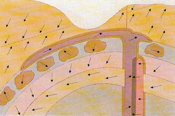 The Earth's magnetic field is a useful tool for dating rocks.