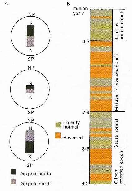 magnetic field reversalse