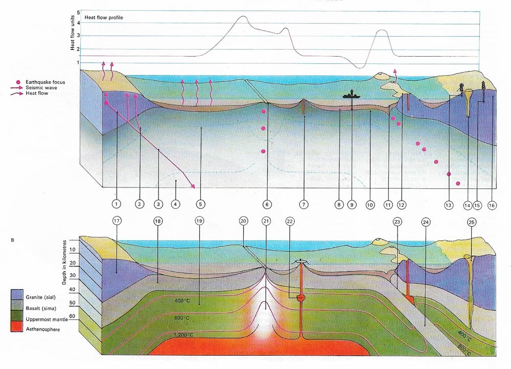 Heat flow in the mantle and crust