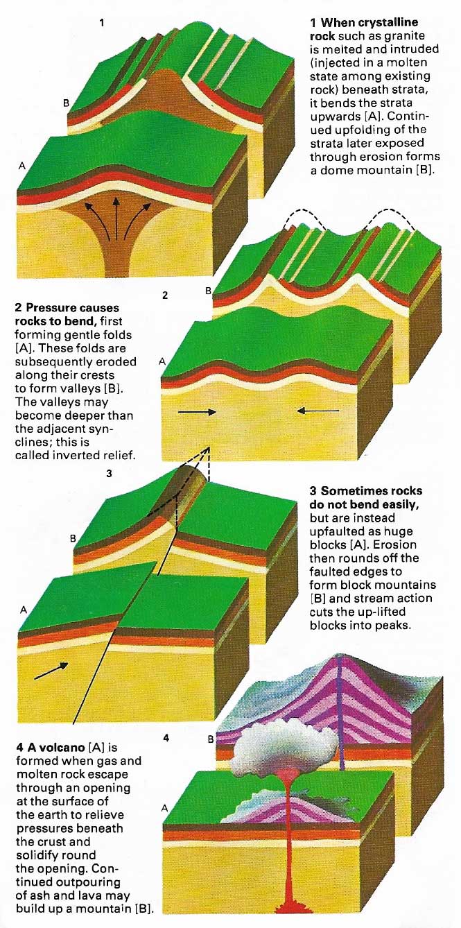Processes involved in the formation of mountains.
