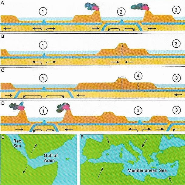 Formation and destruction of oceans