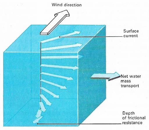 Ocean surface current