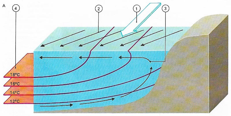 Ocean upwelling